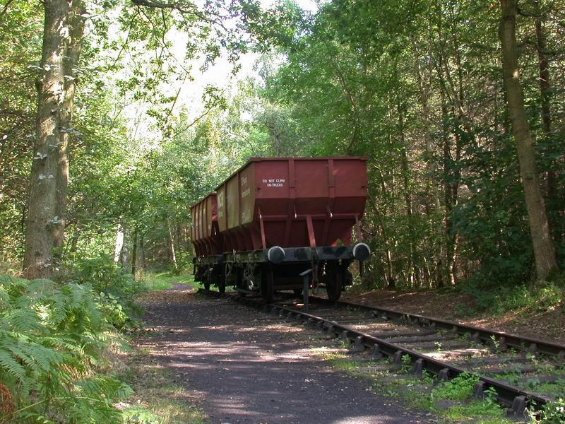 Chopwell Wood